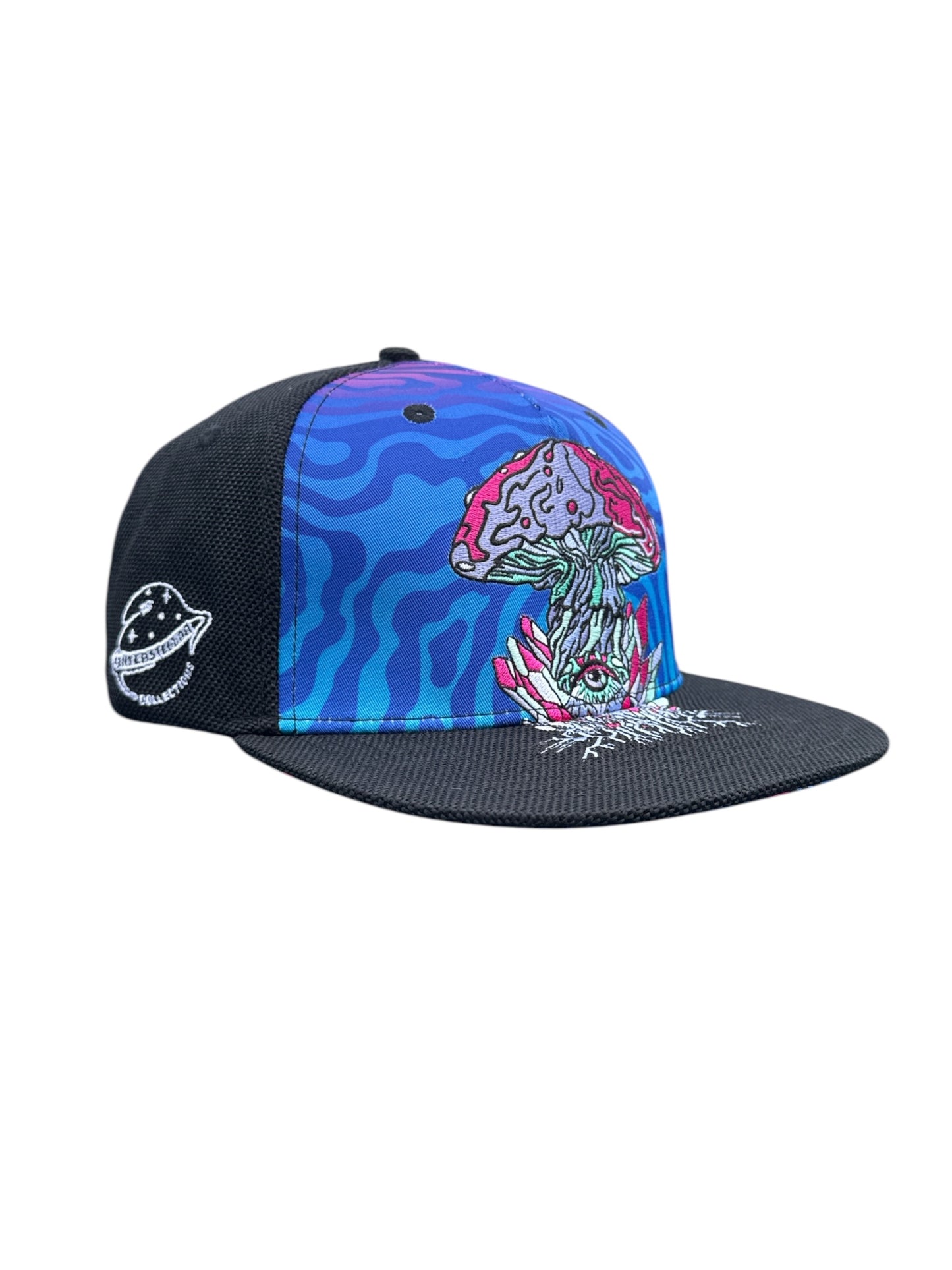 Grassroots/Interstellar Mushroom SnapBack