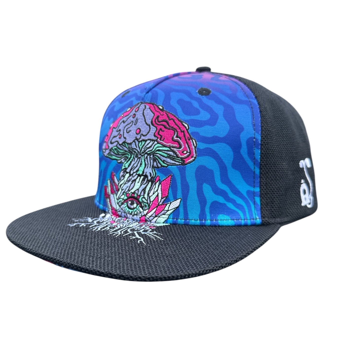 Grassroots/Interstellar Mushroom SnapBack