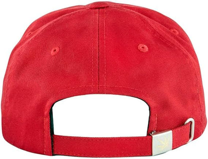 Cheech and Chong Script Red Dad Hat