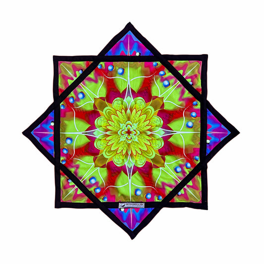 Metamorphosis Flow Toy