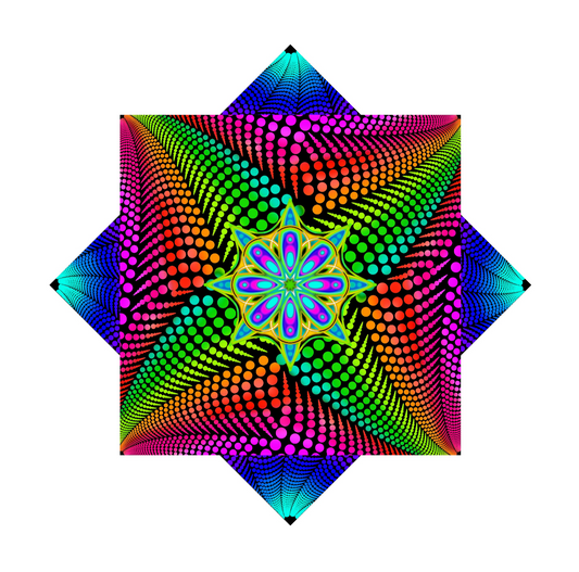 Ninja Spinner Flow Star (Pre Sale)