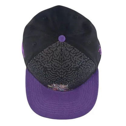 Chris Dyer Galaktic Gang Purple Snapback Hat