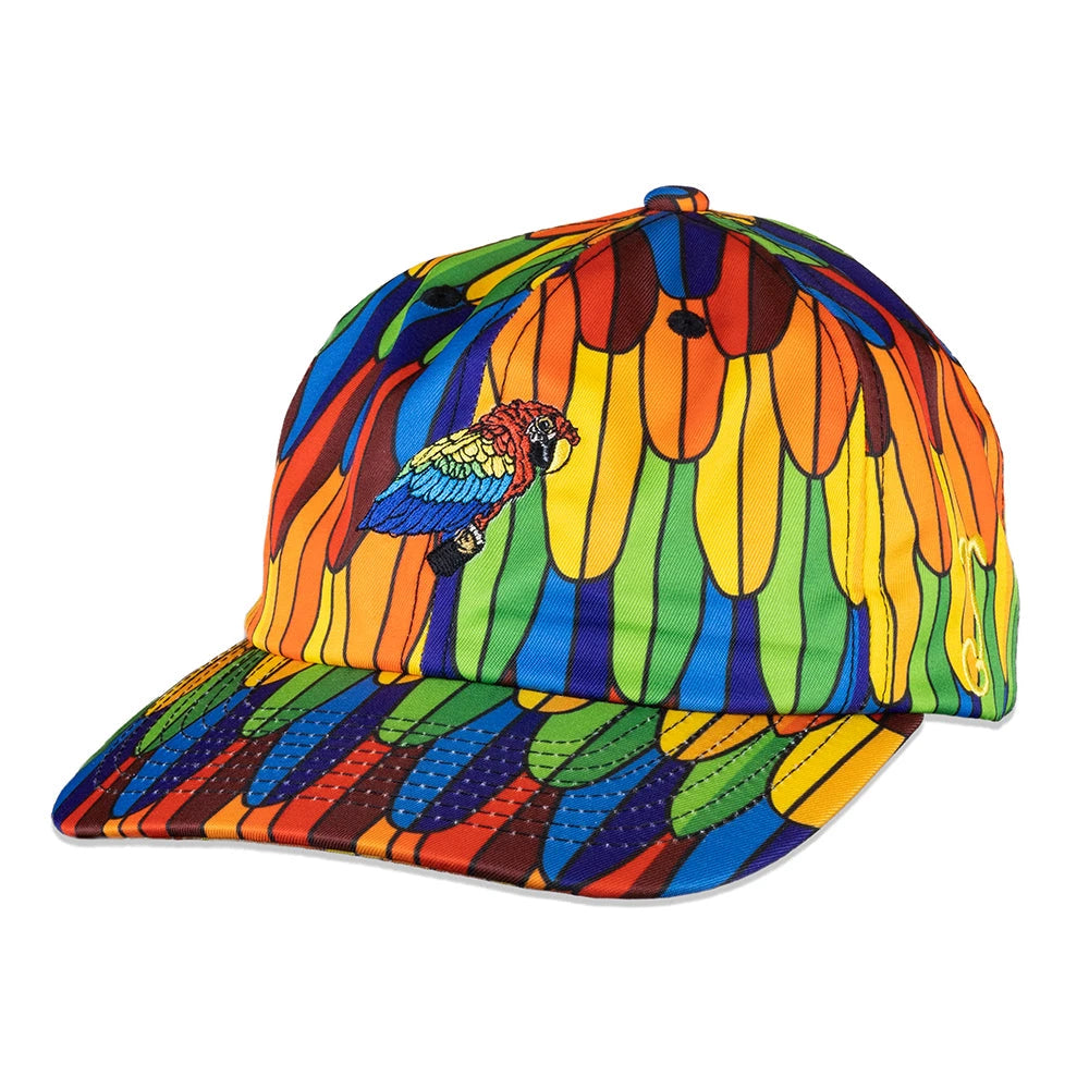 Macaw Rainbow Feathers Dad Hat