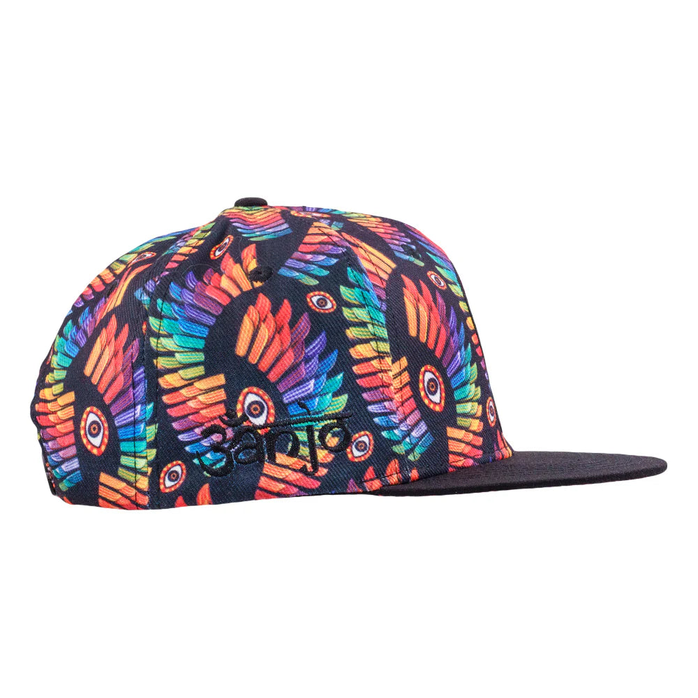Banjo Glass Isis Rainbow Snapback Hat