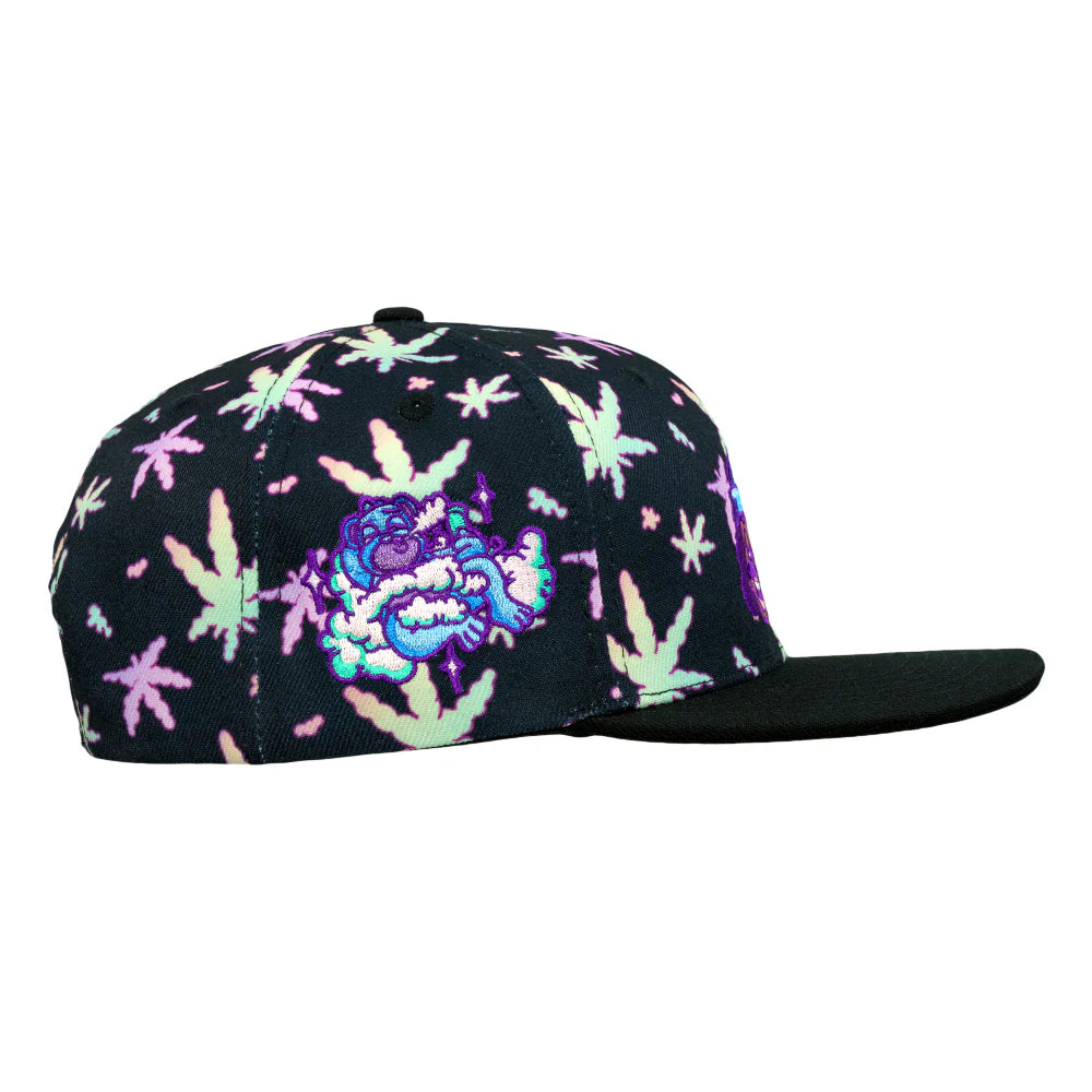 Homies in Dreamland Black Snapback Hat