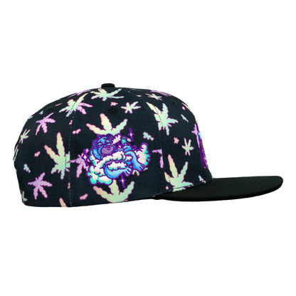 Homies in Dreamland Black Snapback Hat