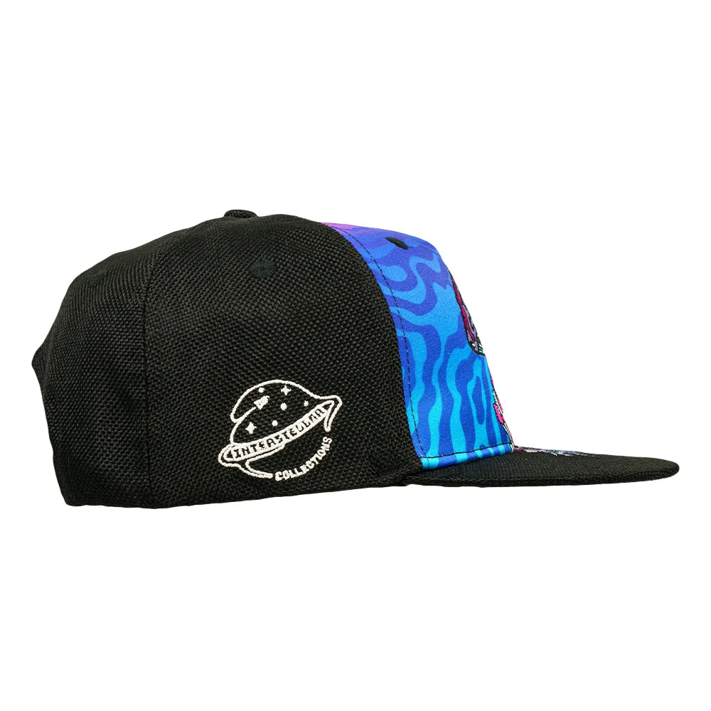 Grassroots/Interstellar Mushroom SnapBack Hat