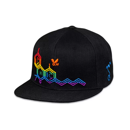 THC Bee Rainbow SnapBack Hat