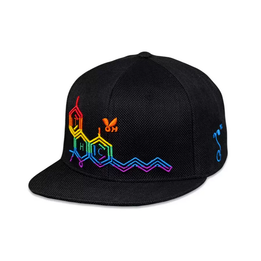 THC Bee Rainbow SnapBack Hat